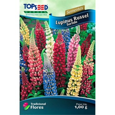 Semente de Lupinus Russel Sortido Topseed 1,00g  