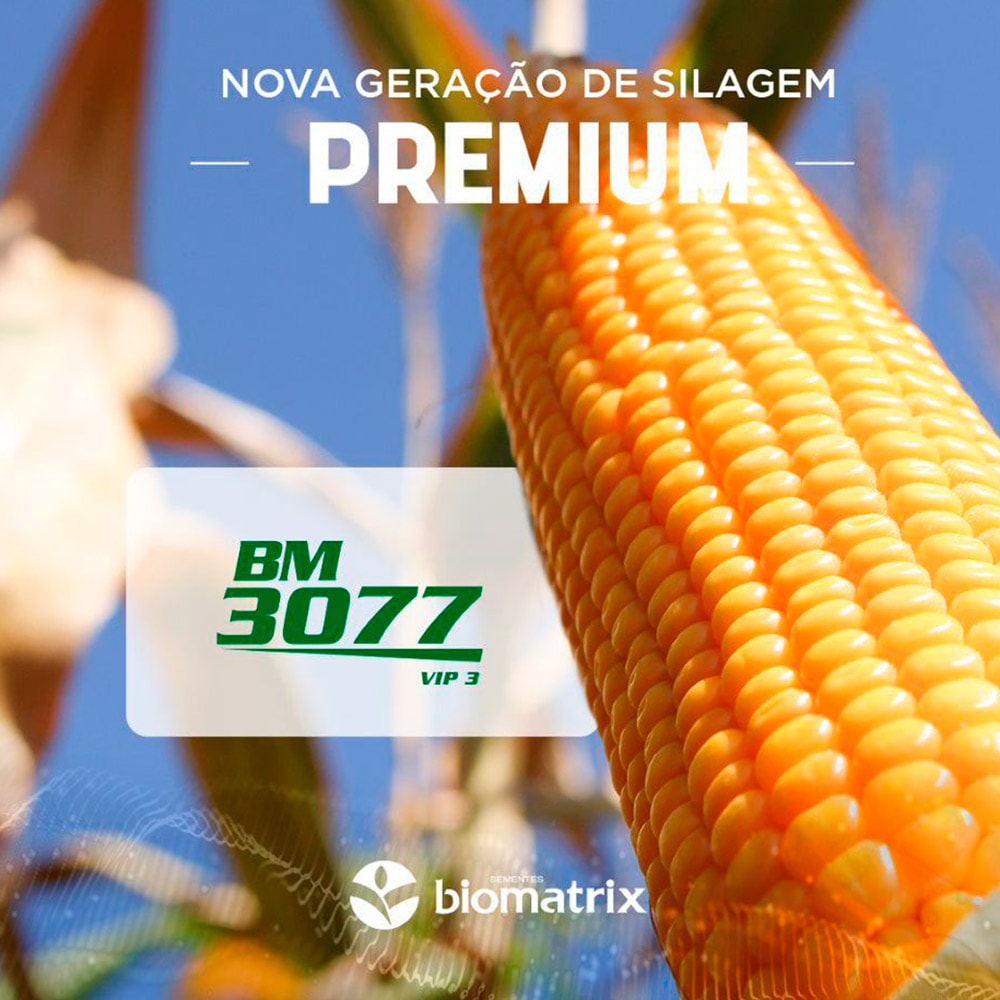 Semente de Milho Híbrido Biomatrix BM 3077 Viptera 3 Fortenza +