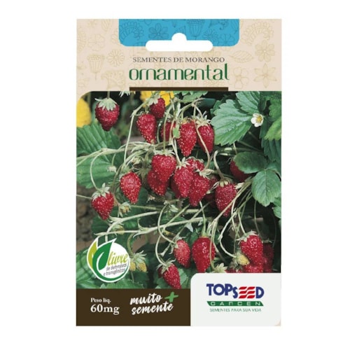 Semente de Morango Ornamental Topseed 60mg 