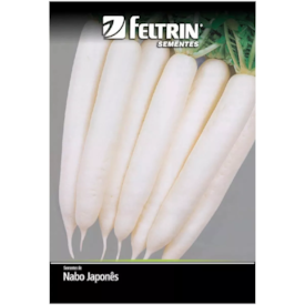 Semente de Nabo Japones Minowase Golden 10g - Feltrin 0082