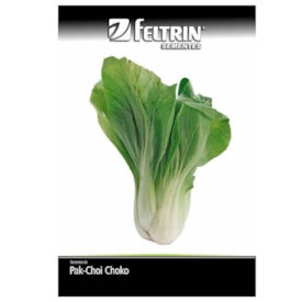 Semente de Pak Choi Choko Golden 10g - Feltrin ref 1166