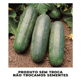 Semente de Pepino Híbrido Eureka 3.000 Sementes - Seminis