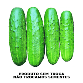 Semente de Pepino Híbrido Primepack Plus 3.000 Sementes - Seminis