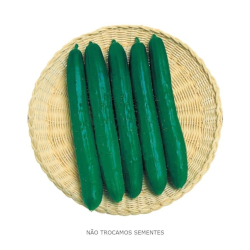 Semente de Pepino Hibrido Soldier Takii 350 Sementes 