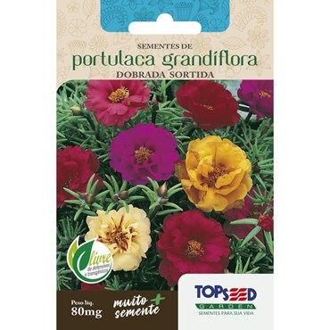 Semente de Portulaca Grandiflora Dobrada Sortida Topseed 80mg 