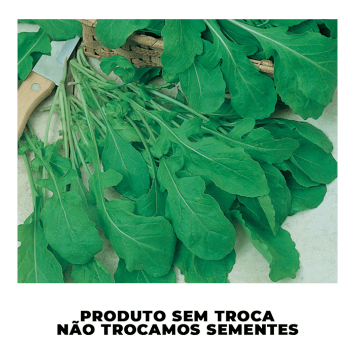 Semente de Rúcula Folha Larga 500g - Sakata