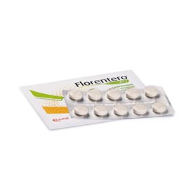 Suplemento Alimentar Florentero Bioctal com 10 Comprimidos 