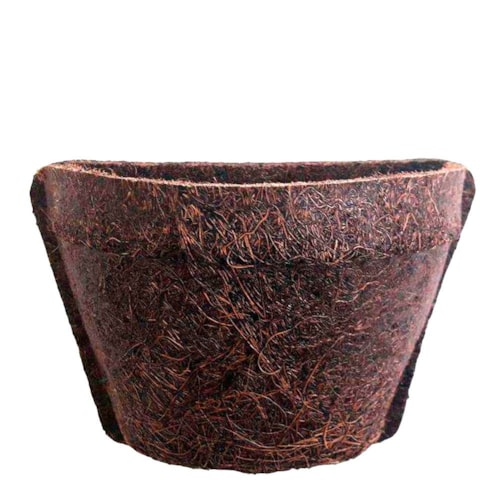 Vaso de Coquim Orgânico 