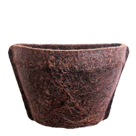 Vaso de Coquim Orgânico