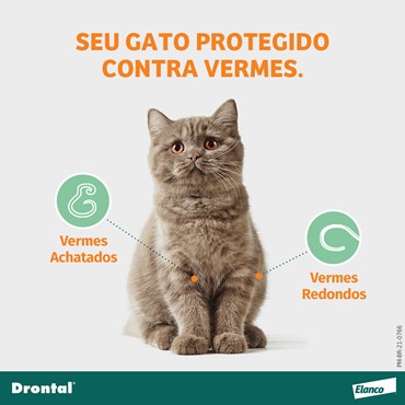 Vermífugo Drontal Gatos com 4 Comprimidos