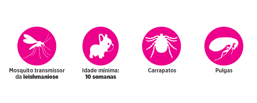 EctoFend - proteção contra leishmaniose, pulgas e carrapatos
