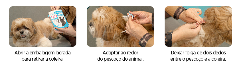 Como aplicar EctoFend - passo 1