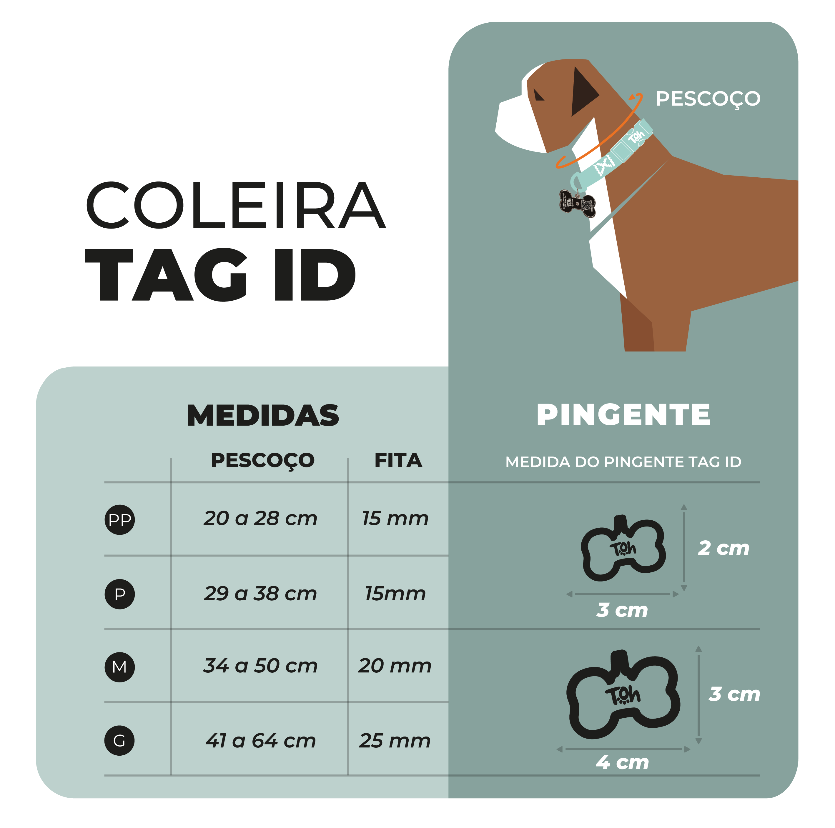 Tabela de medidas da Coleira Toh com Tag ID QR Code para cães mostrando tamanhos PP, P, M e G, e dimensões do pingente