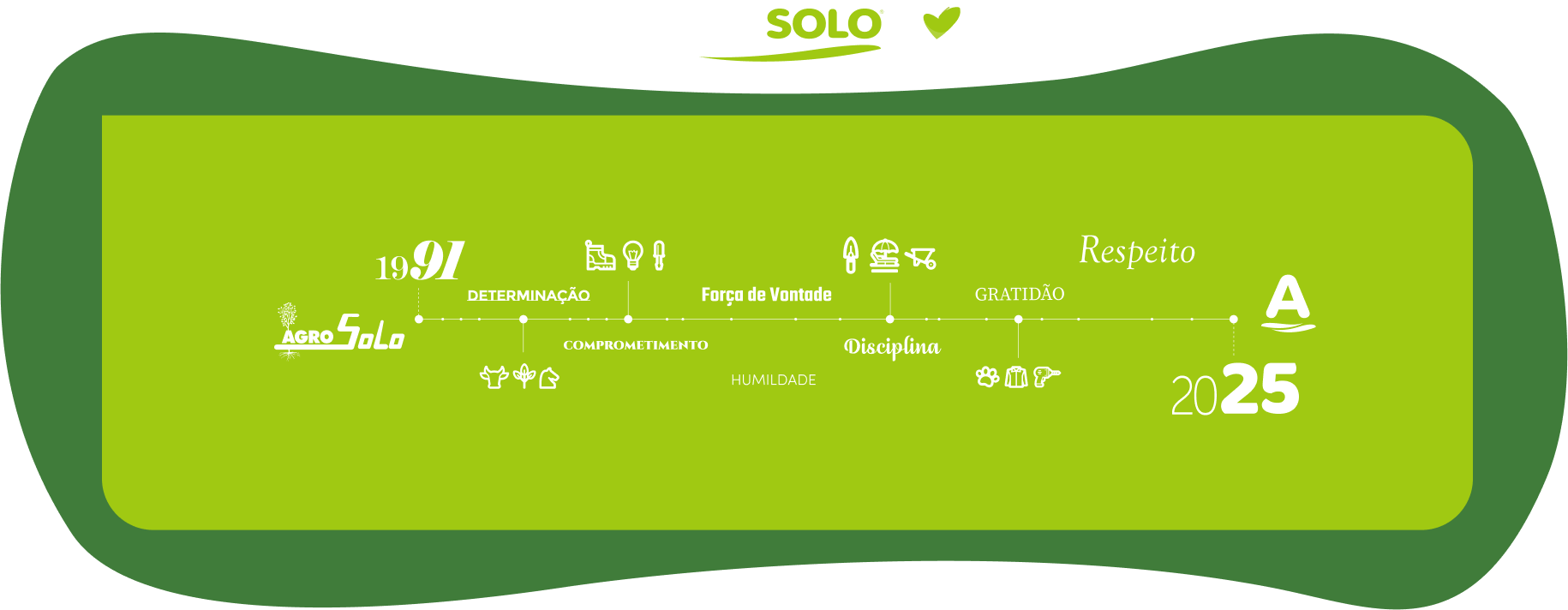 timeline da criação da loja