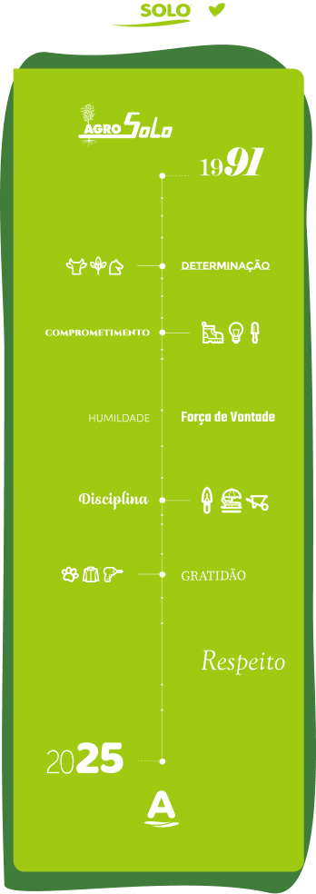 timeline da criação da loja