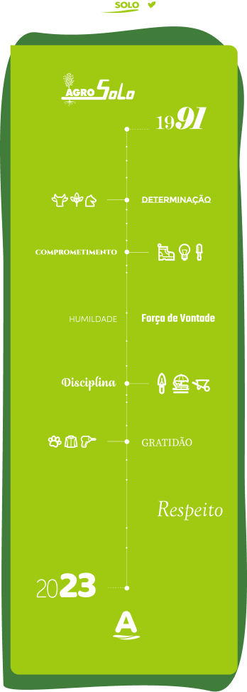 timeline da criação da loja